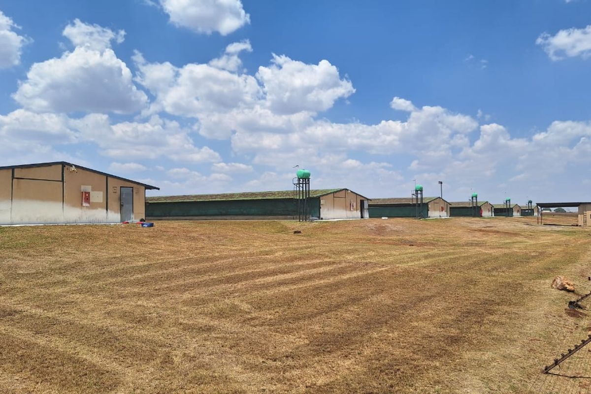 Fully Operational Chicken Farm with Agricultural Land for Sale - Photo 2