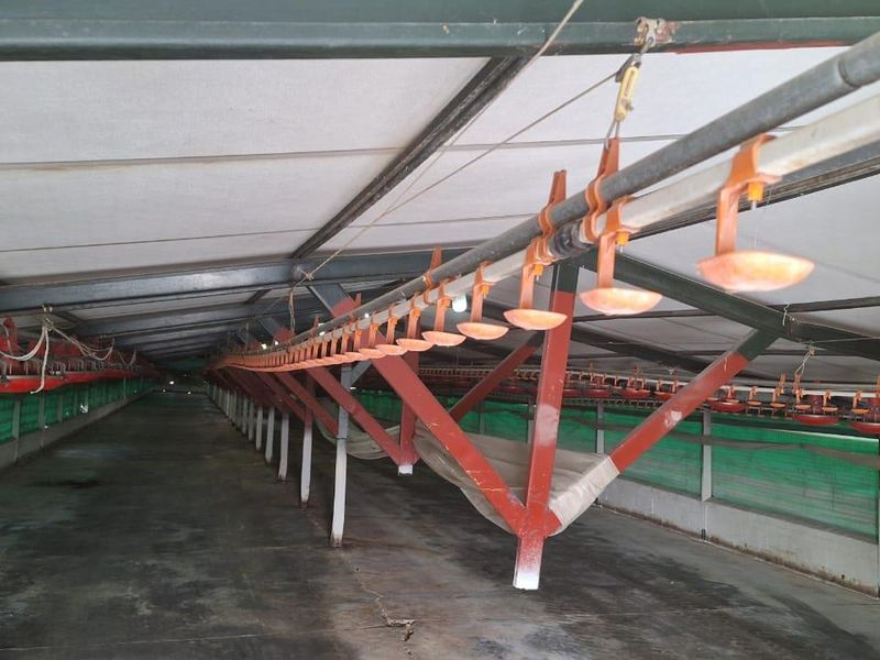 Fully Operational Chicken Farm with Agricultural Land for Sale - Photo 10