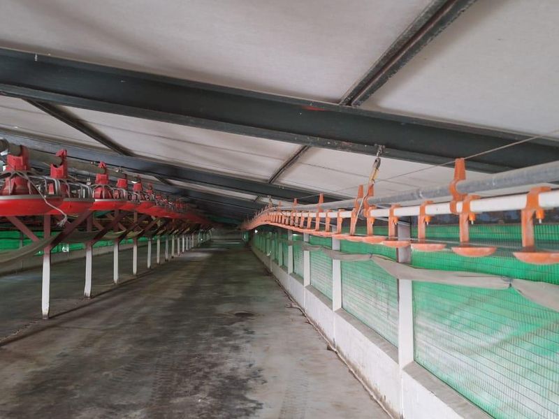 Fully Operational Chicken Farm with Agricultural Land for Sale - Photo 9