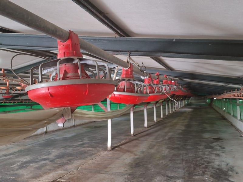 Fully Operational Chicken Farm with Agricultural Land for Sale - Photo 8