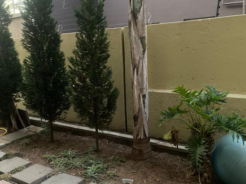 A rear garden area featuring a concrete boundary wall with electric fencing and paved walkway sections.