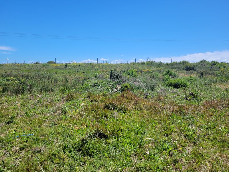 Prime Development Opportunity in C Place, Jeffreys Bay - Photo 10