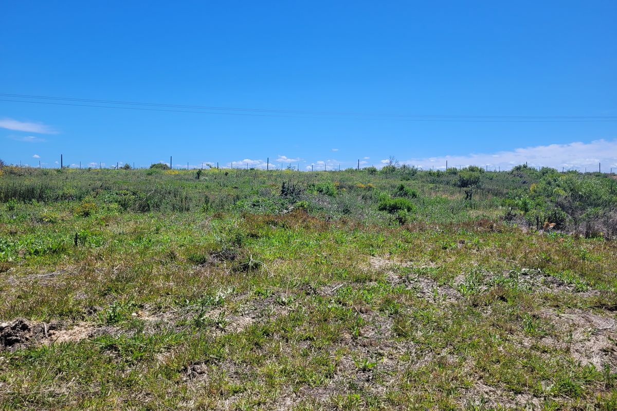 Prime Development Opportunity in C Place, Jeffreys Bay - Photo 2