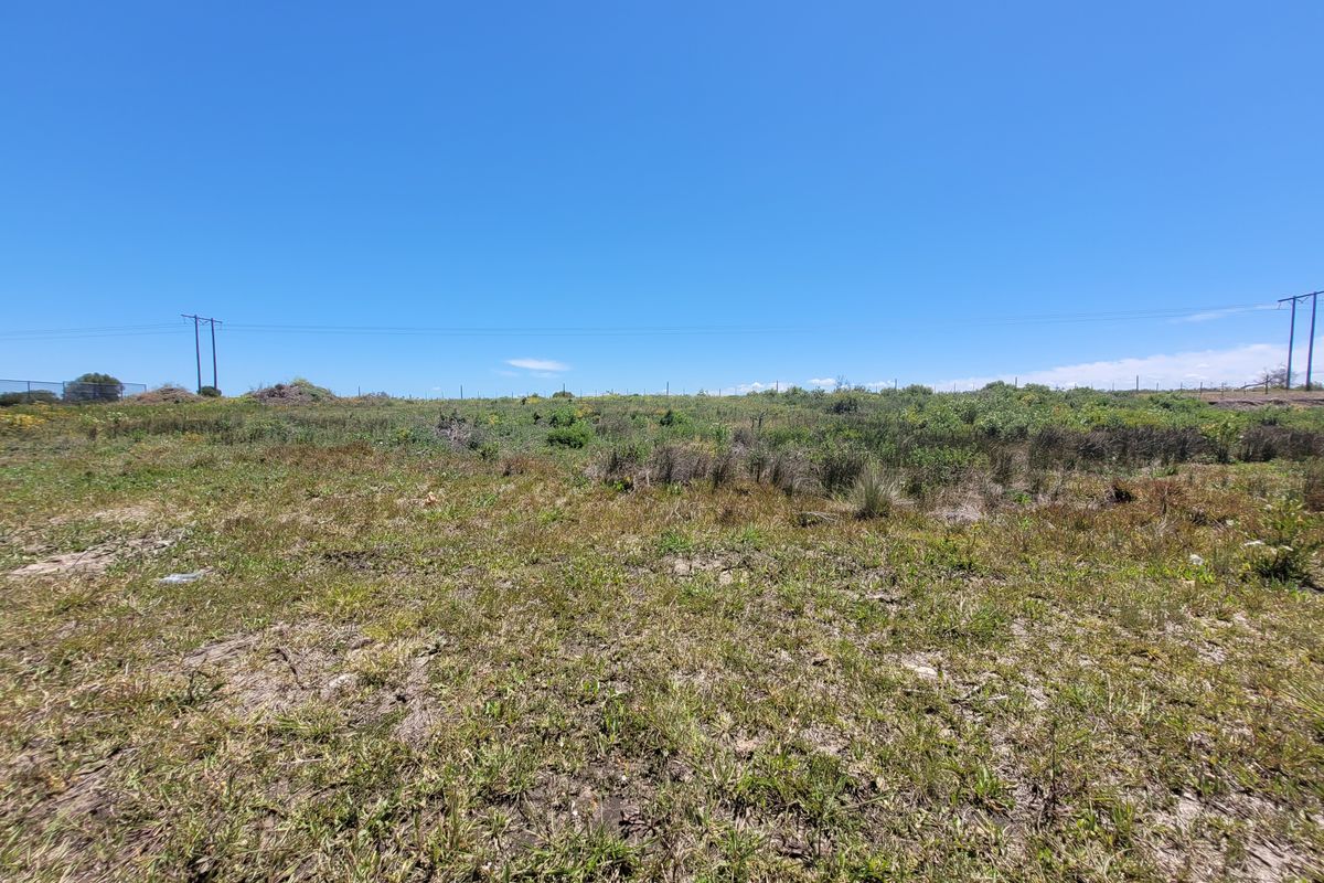 Prime Development Opportunity in C Place, Jeffreys Bay - Photo 4