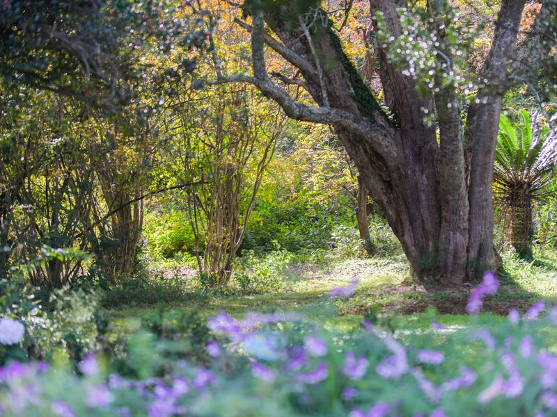 BUILD YOUR OWN LEGACY - Photo 8