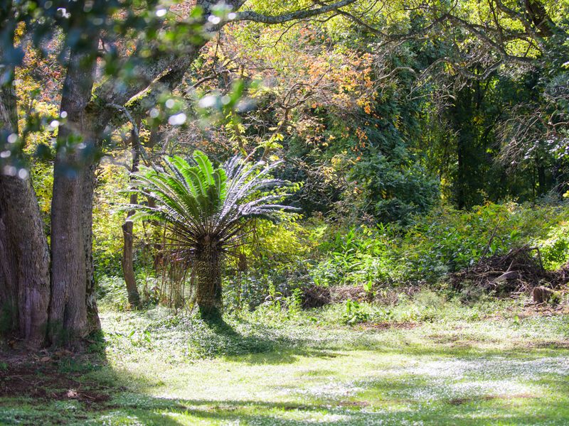 BUILD YOUR OWN LEGACY - Photo 7