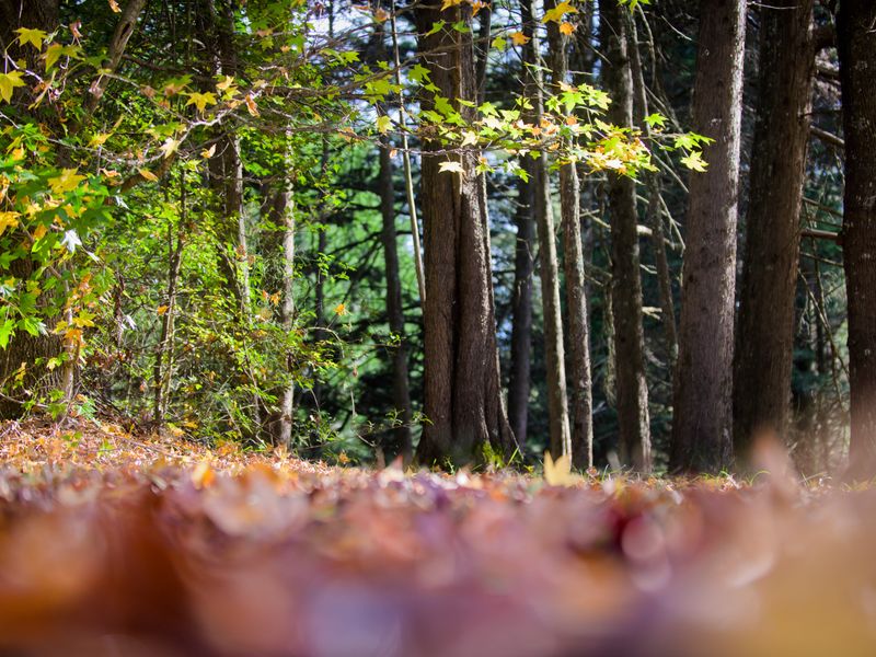 BUILD YOUR OWN LEGACY - Photo 6