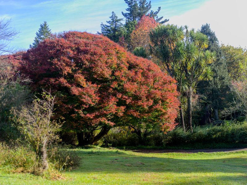 BUILD YOUR OWN LEGACY - Photo 9