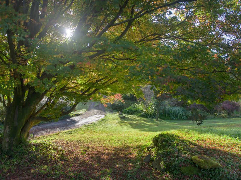 BUILD YOUR OWN LEGACY - Photo 10