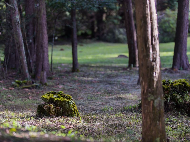 BUILD YOUR OWN LEGACY - Photo 5