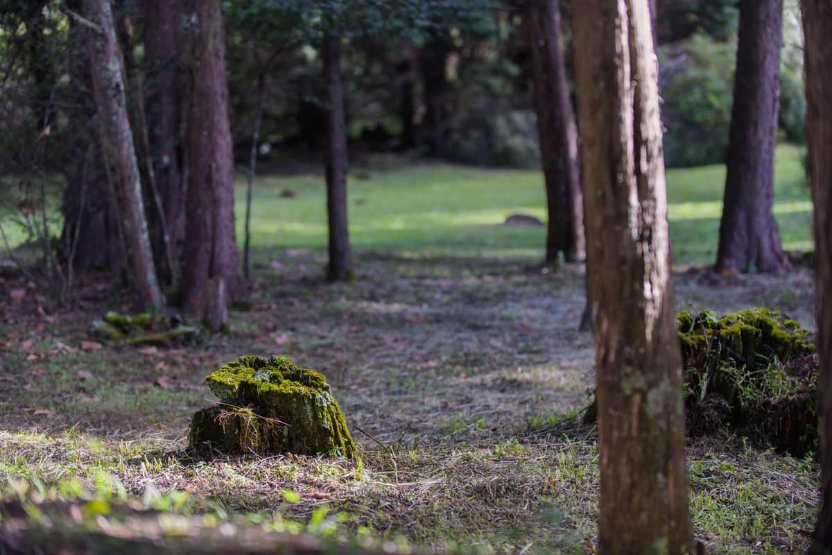 BUILD YOUR OWN LEGACY - Photo 5