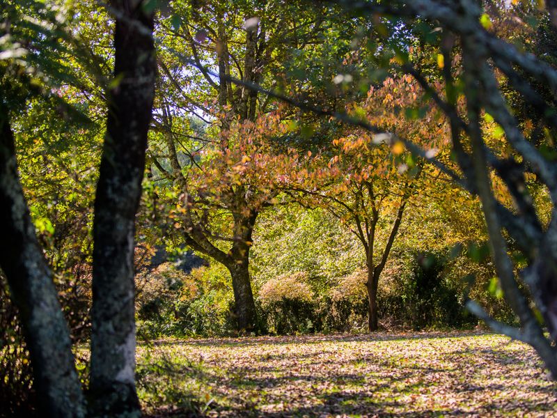 BUILD YOUR OWN LEGACY - Photo 4