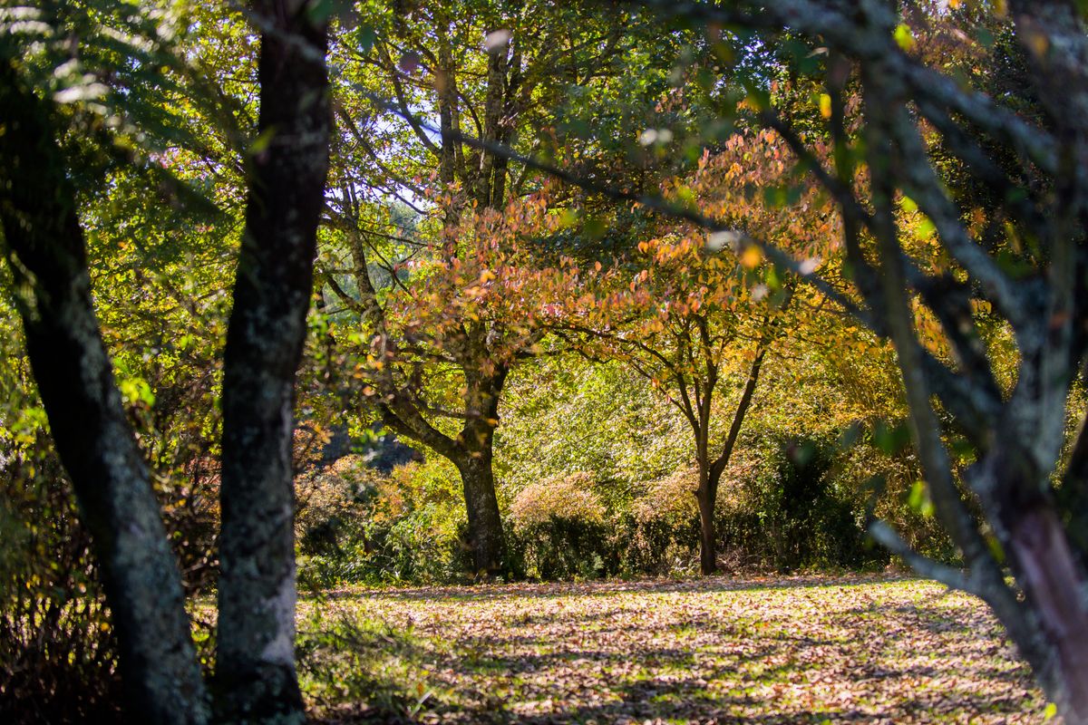 BUILD YOUR OWN LEGACY - Photo 4