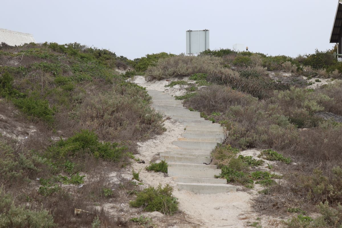 A set of concrete stairs leading up a sandy dune covered in coastal vegetation.