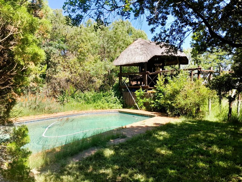 9900m2 Opportunity with Two Cottages and Pool - Photo 3