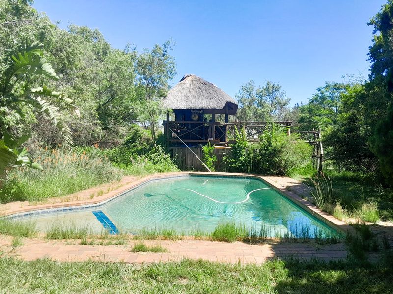 9900m2 Opportunity with Two Cottages and Pool - Photo 8