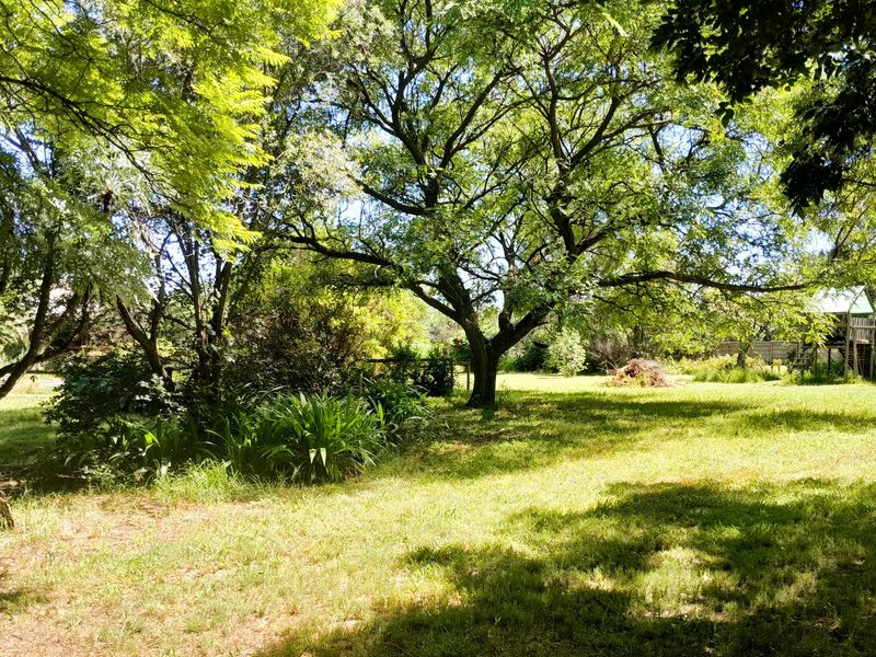 9900m2 Opportunity with Two Cottages and Pool - Photo 7