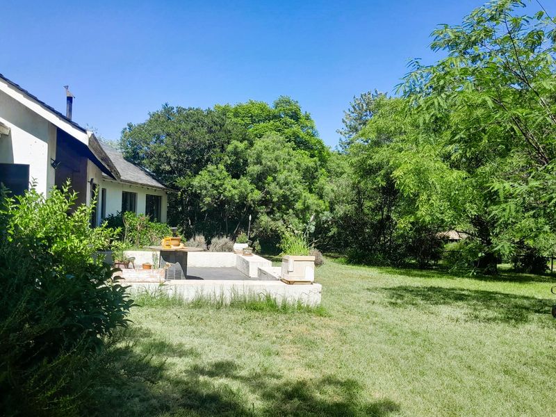 9900m2 Opportunity with Two Cottages and Pool - Photo 6