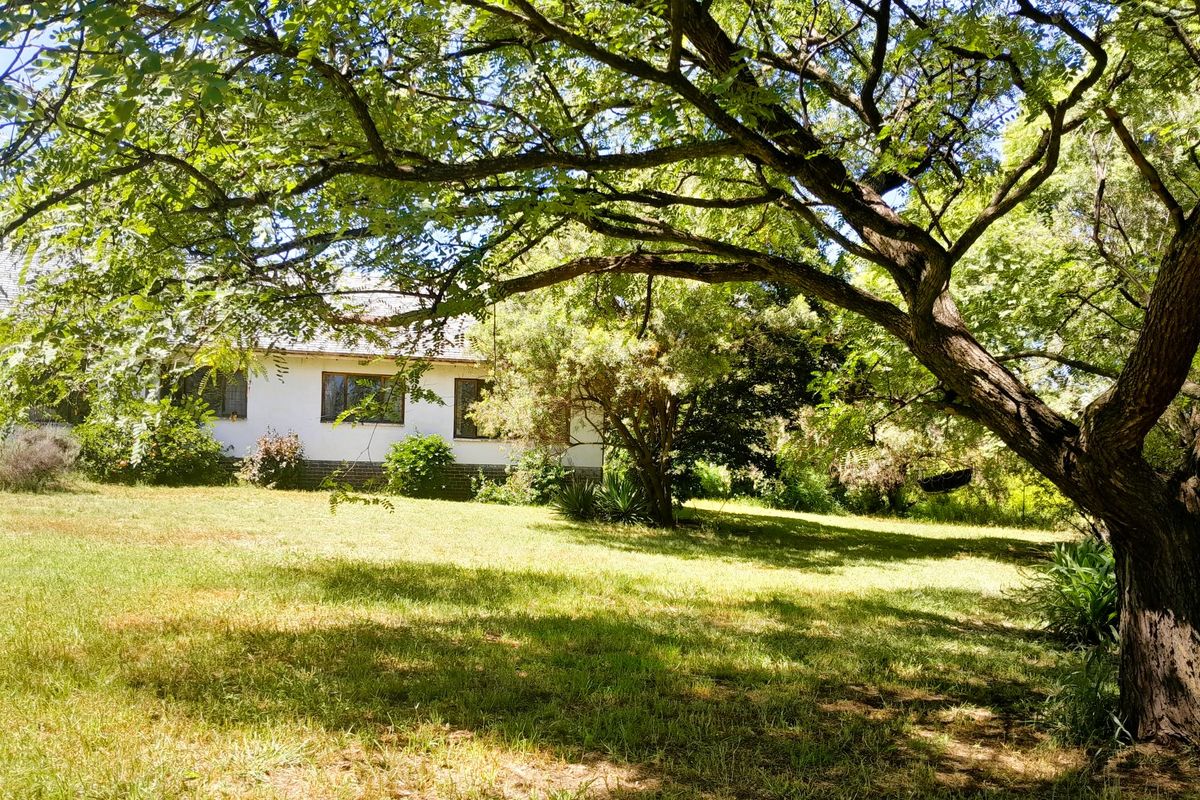 9900m2 Opportunity with Two Cottages and Pool - Photo 4