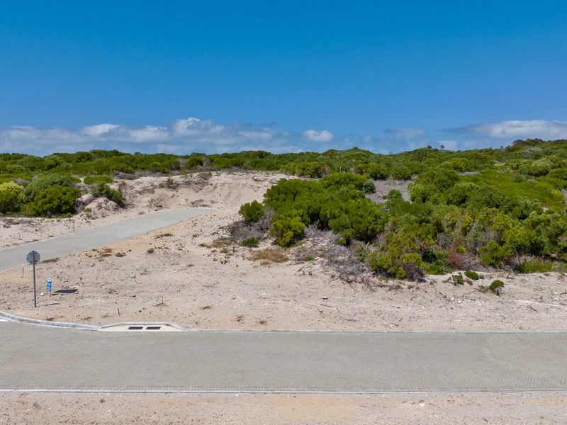 Experience Agulhas: Your Dream Starts Here - Photo 9