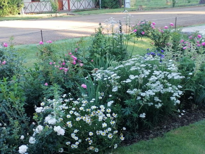 WELCOME TO RHODES! - Photo 6