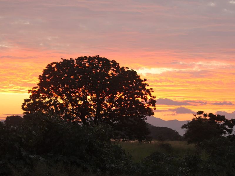 LAUNCHING MAGNIFICENT Shawu's Hills : Serenity found! - Photo 8