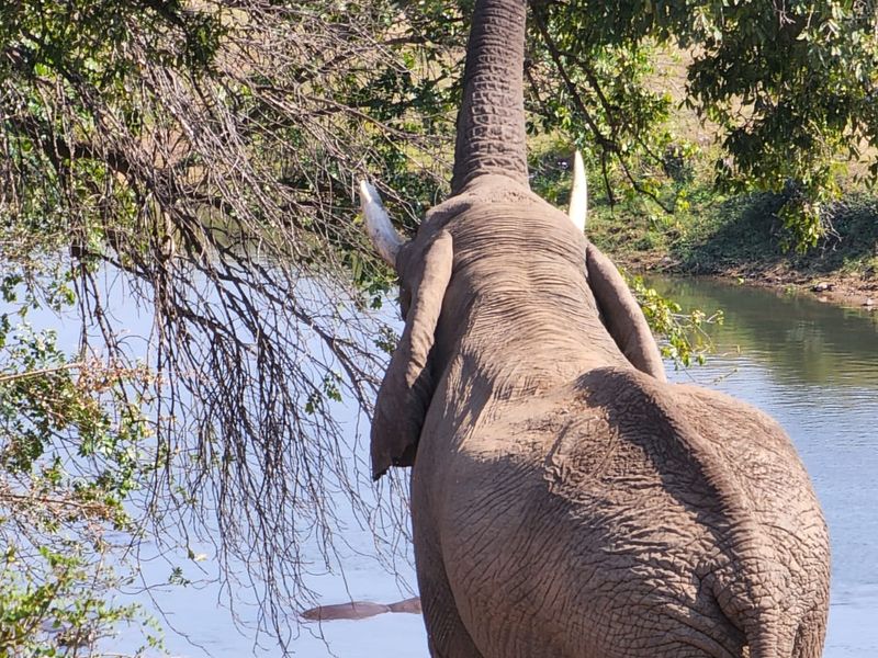 LAUNCHING MAGNIFICENT Shawu's Hills : Serenity found! - Photo 2