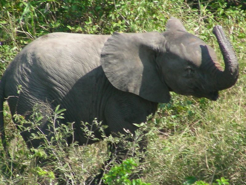 LAUNCHING MAGNIFICENT Shawu's Hills : Serenity found! - Photo 6