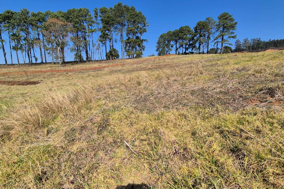 Vacant Land for Sale | St John’s Village, Howick - Photo 2