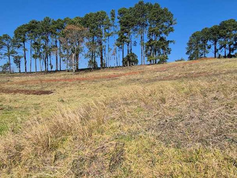 Vacant Land for Sale | St John’s Village, Howick - Photo 5