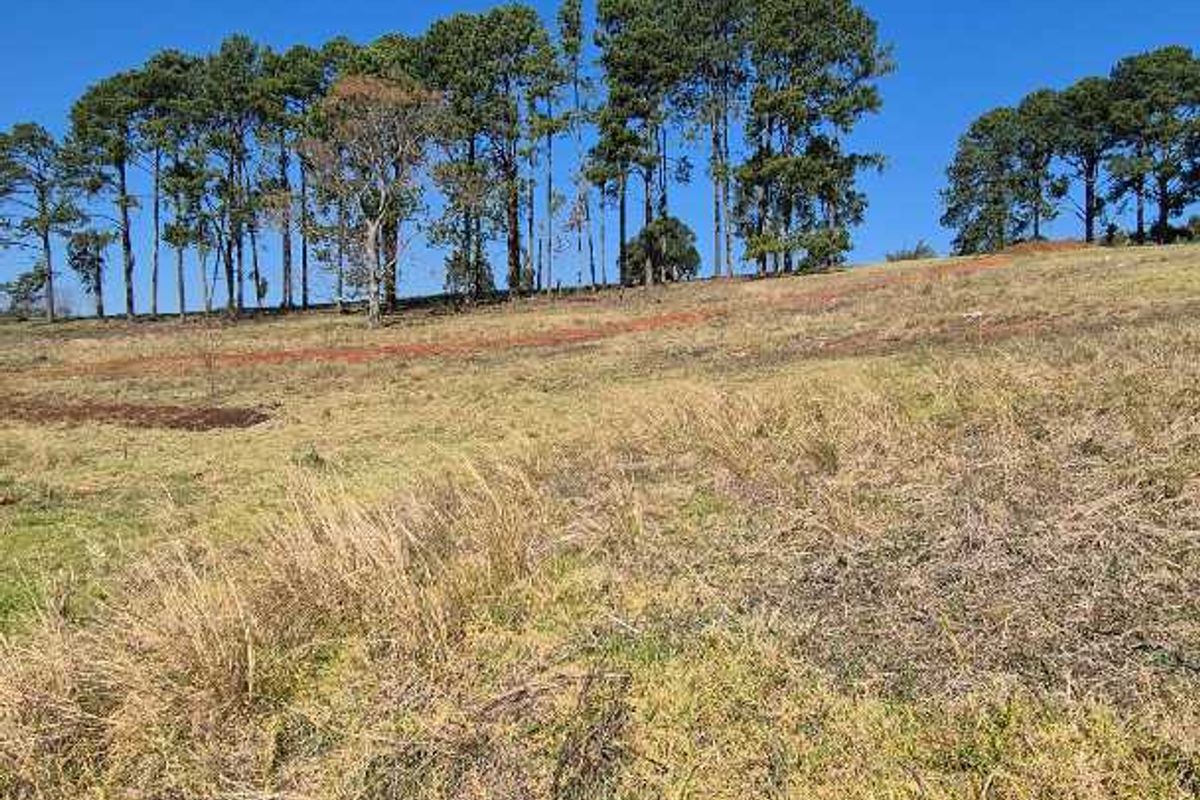 Vacant Land for Sale | St John’s Village, Howick - Photo 5