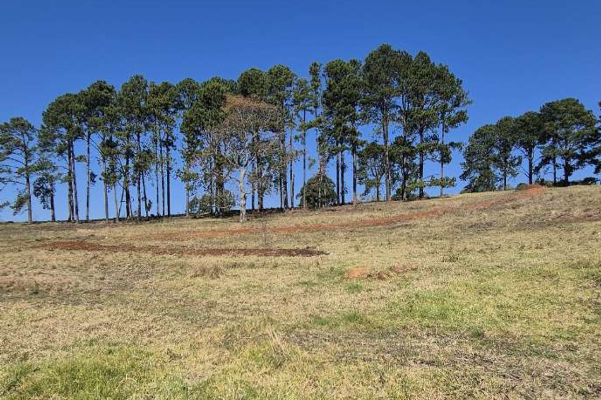 Vacant Land for Sale – St John’s Village - Photo 2