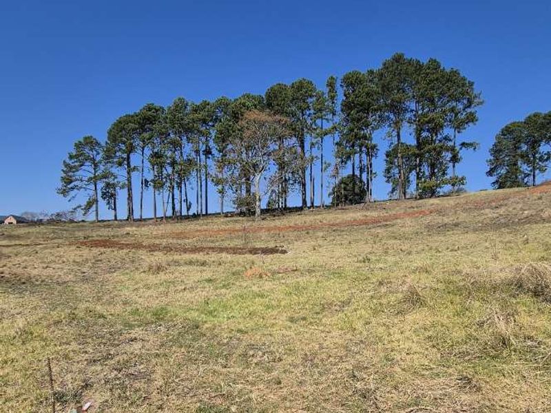 Vacant Land for Sale – St John’s Village - Photo 4