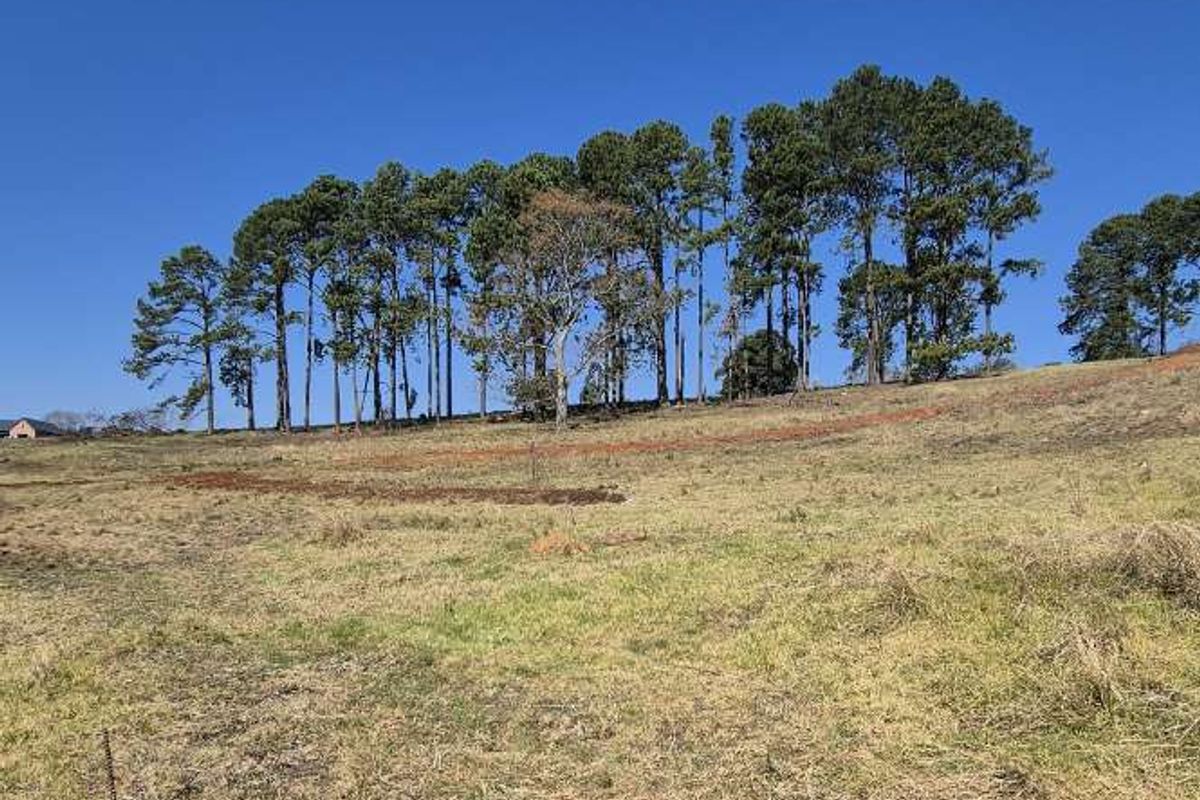 Vacant Land for Sale – St John’s Village - Photo 4