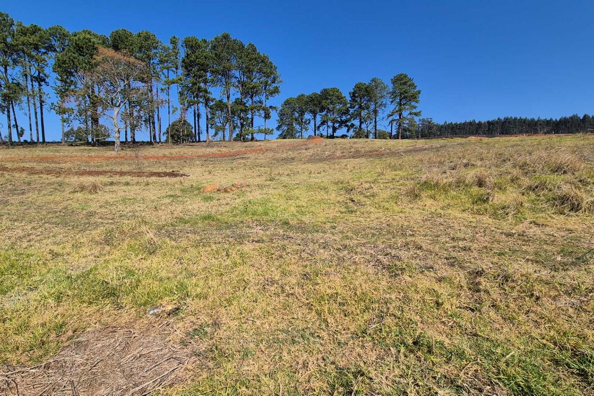 Vacant Land for Sale – St John’s Village - Photo 3