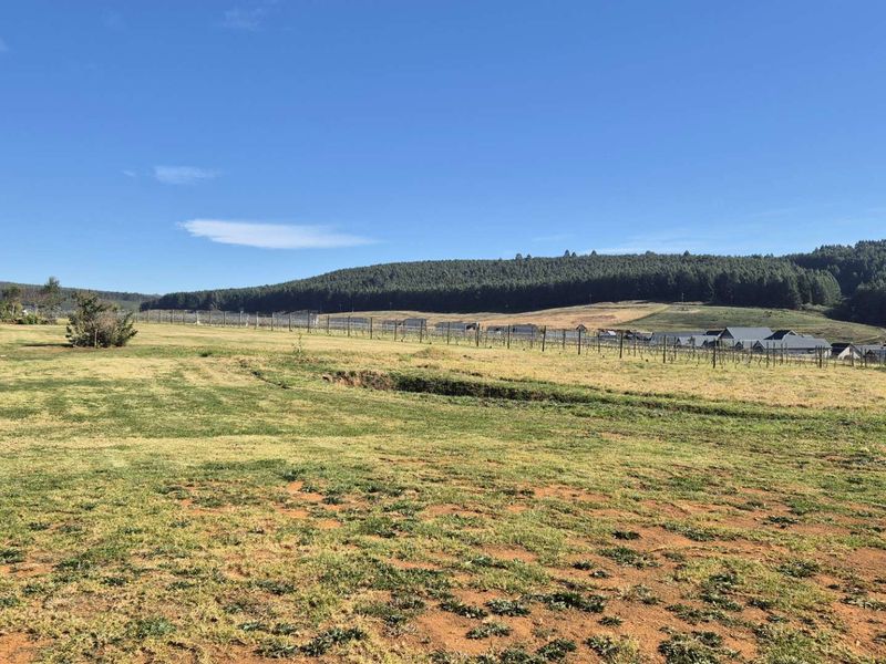 Stylish Home with Loft & Vineyard Access - Photo 2