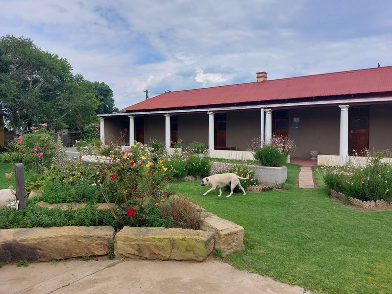 Excellent investment opportunity. . . - Photo 2