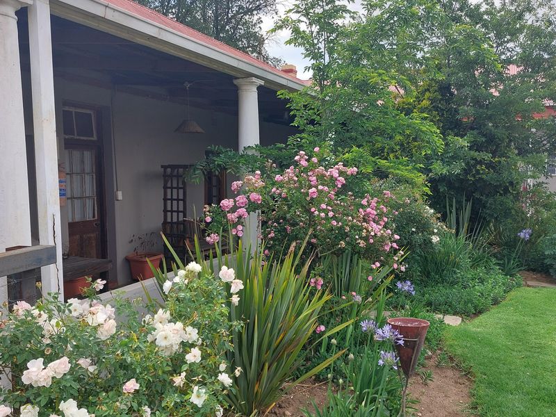 Excellent investment opportunity. . . - Photo 6