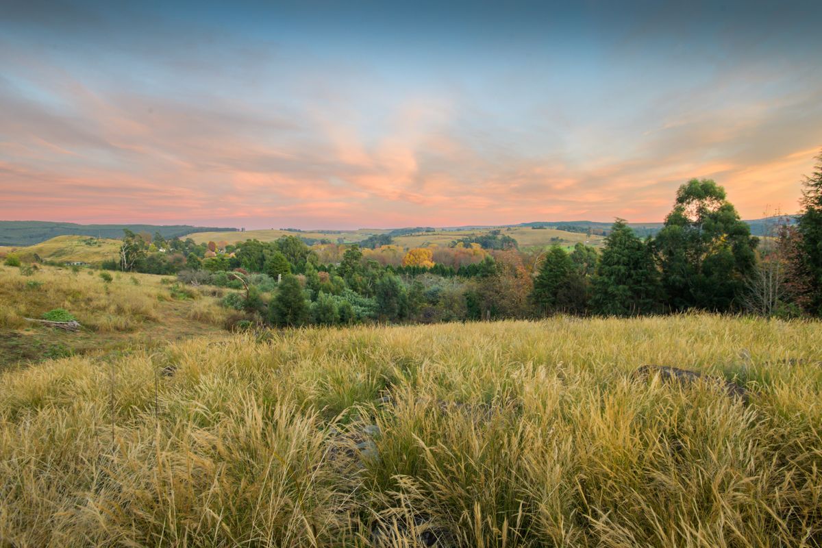 A scenic view of the vacant residential land featuring rolling hills, native grasses, and mature trees under a sunset sky.