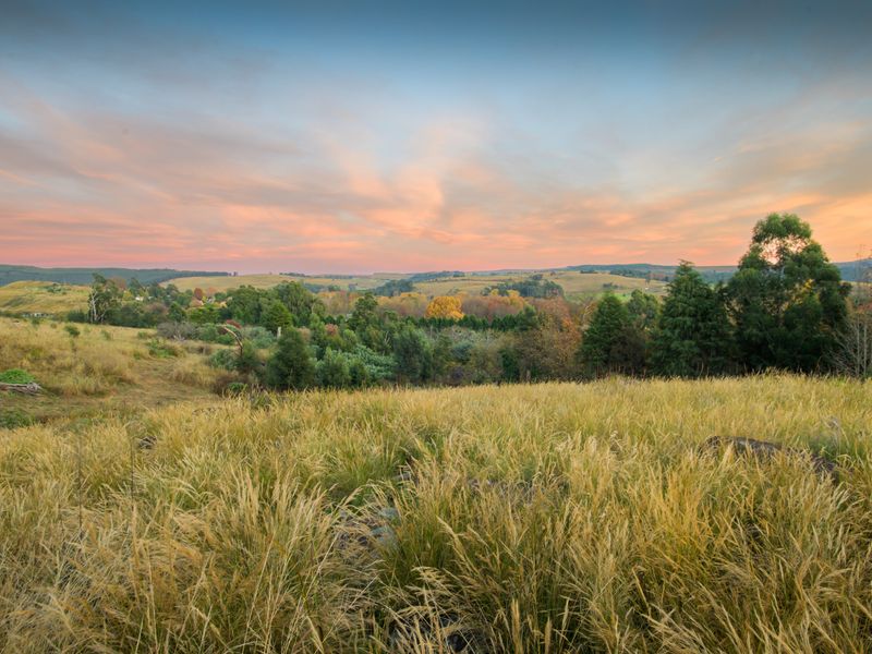 Annandale Country Estate – Limited opportunities available - Photo 3