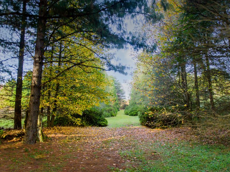 Annandale Country Estate – Limited opportunities available - Photo 4