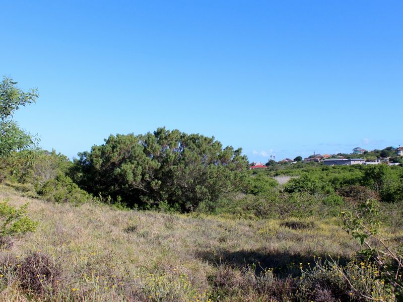 Secluded Cul de Sac Plot in Greenfields in Port Alfred - Photo 10