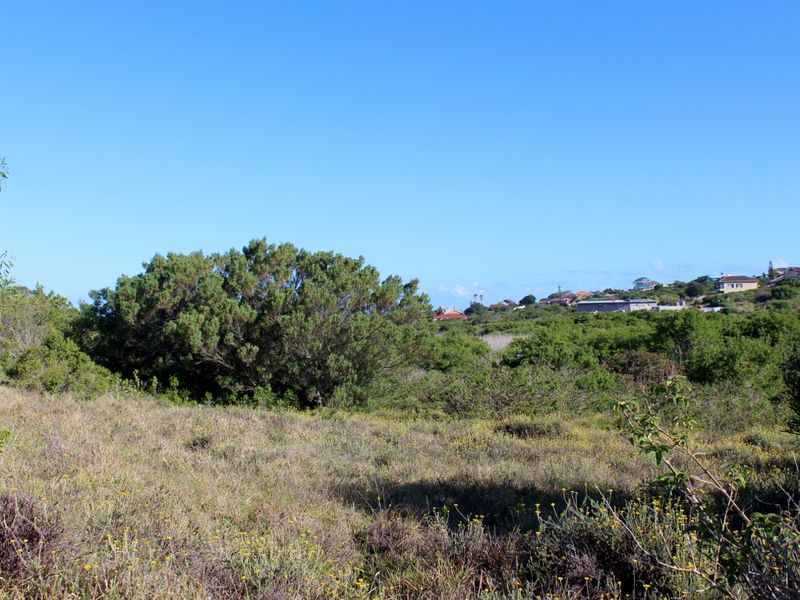 Secluded Cul de Sac Plot in Greenfields in Port Alfred - Photo 9