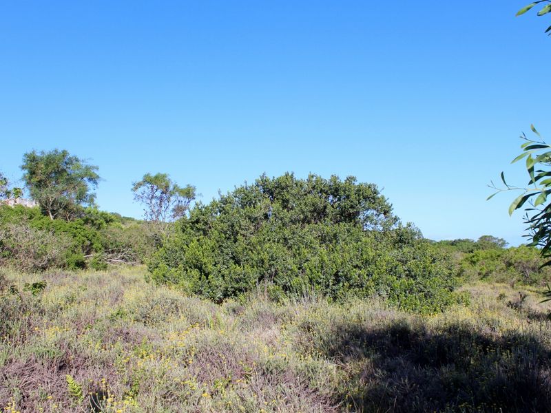 Secluded Cul de Sac Plot in Greenfields in Port Alfred - Photo 8