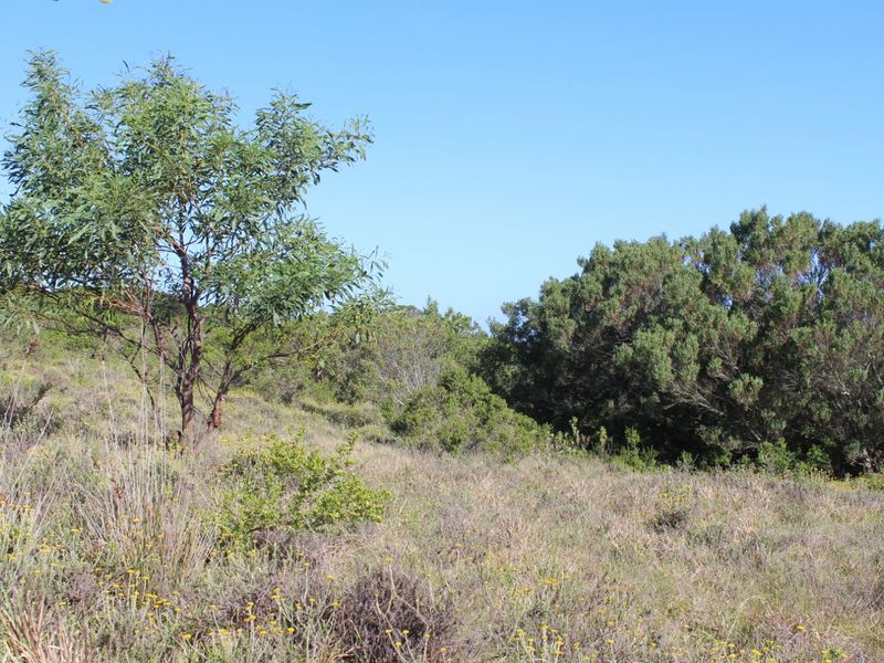 Secluded Cul de Sac Plot in Greenfields in Port Alfred - Photo 7