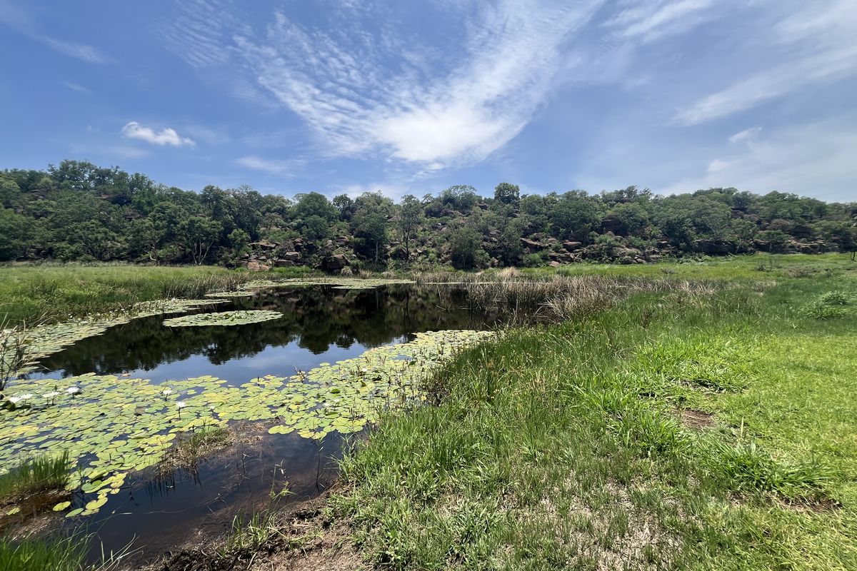 Rustic House for Sale on a Game Farm - Photo 2