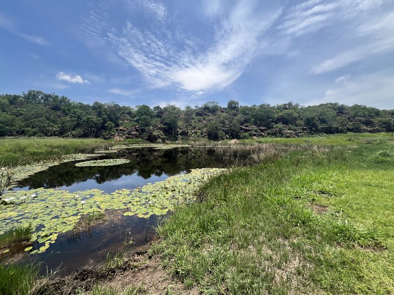 A scenic view of a natural pond surrounded by lush green vegetation and a rocky hillside landscape.
