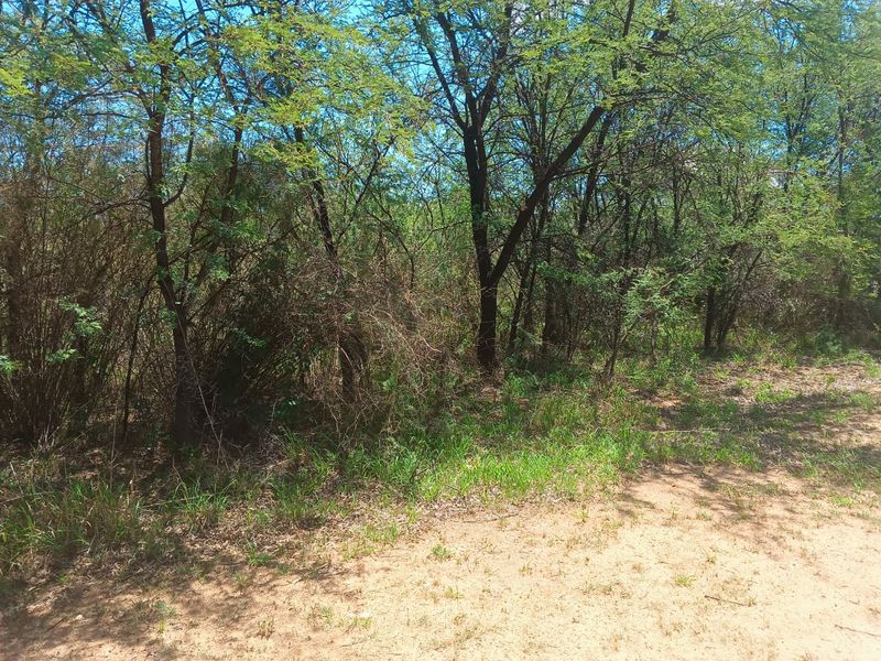 Vacant Land for Sale in Golf Estate. - Photo 8