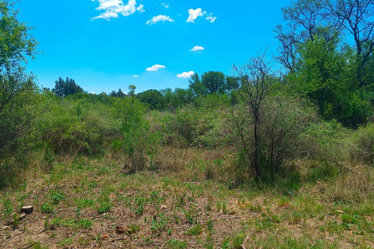 Vacant Land for Sale in Golf Estate. - Photo 3