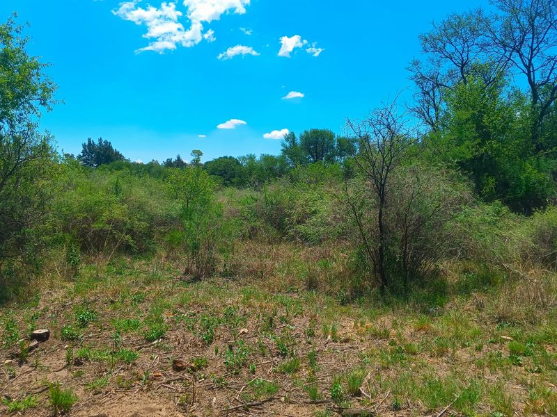 Vacant Land for Sale in Golf Estate. - Photo 3